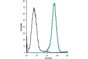 Cell surface detection of CysLTR2 in live intact acute monocytic leukemia (THP-1) cells: (black line) Control cells + goat anti-rabbit-AlexaFluor-488. (CasLTR2 Antikörper  (Extracellular))