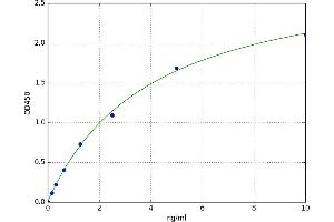Angiotensinase A (ATA) ELISA Kit