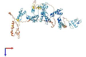 ZNF7 Protein (AA 1-686) (His tag)