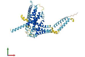 Protein Structure (PS) image for Limb Region 1 Like (LMBR1L) (AA 1-489) protein (His tag) (ABIN7560879)