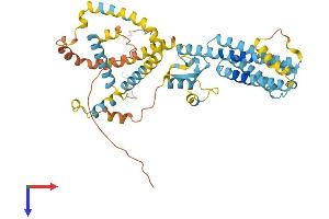 PLIN5 Protein (AA 1-463) (His tag)