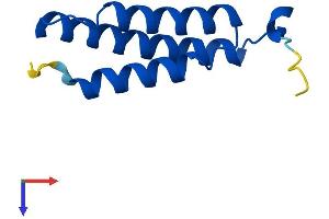 LYRM4 Protein (AA 1-91) (His tag)