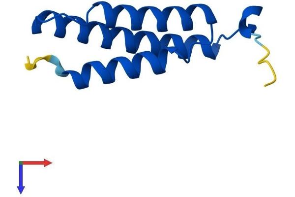 LYRM4 Protein (AA 1-91) (His tag)
