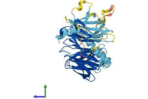 AlphaFold protein structure predicition of Human Recombinant DCAF4L2 Protein, UniprotID Q8NA75