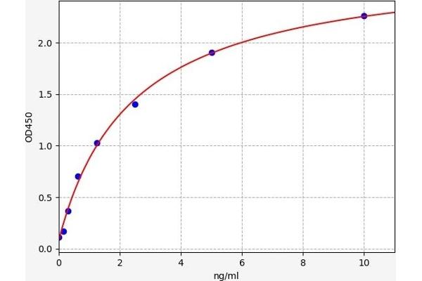 Sulfiredoxin 1 ELISA Kit