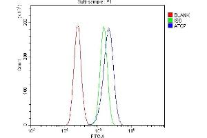 Flow Cytometry analysis of U87 cells using anti-ATG7 antibody (ABIN7602343).