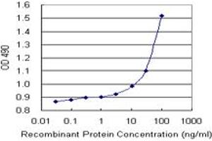 Sandwich ELISA detection sensitivity ranging from 10 ng/mL to 100 ng/mL.