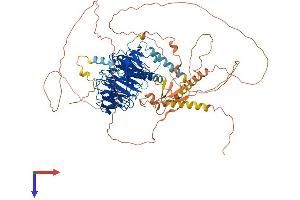 DCAF6 Protein (AA 1-876) (His tag)