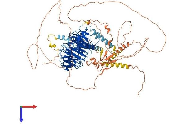 DCAF6 Protein (AA 1-876) (His tag)
