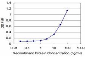 Detection limit for recombinant GST tagged MEOX2 is approximately 3ng/ml as a capture antibody. (MEOX2 Antikörper  (AA 1-303))