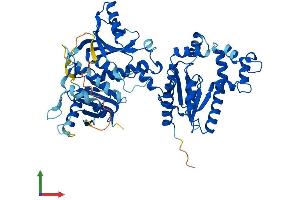 Protein Structure (PS) image for CoA Synthase (COASY) (AA 1-564) protein (His tag) (ABIN7546703)