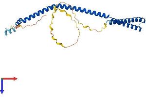VPS37D Protein (AA 1-251) (His tag)