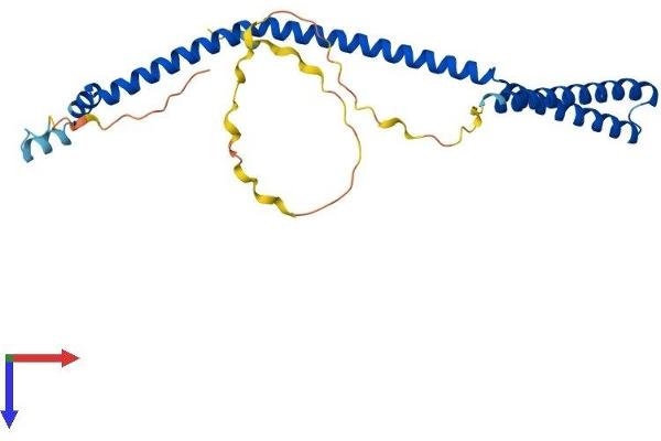 VPS37D Protein (AA 1-251) (His tag)