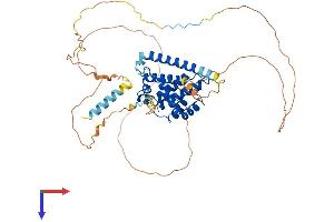 BCL2L13 Protein (AA 1-485) (His tag)