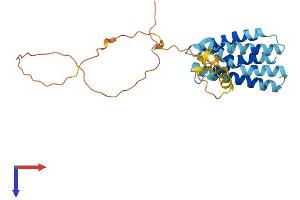 AlphaFold protein structure predicition of Human Recombinant YIPF5 Protein, UniprotID Q969M3