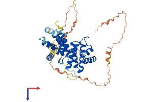 Cyclin I Protein (CCNI) (AA 1-377) (His tag)