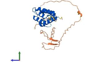 C9orf89 Protein (AA 1-228) (His tag)