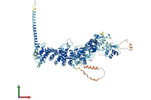 Protein Structure (PS) image for Ubiquitin Protein Ligase E3B (UBE3B) (AA 1-1070) protein (His tag) (ABIN7565058)