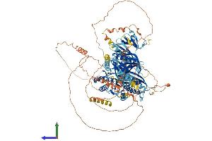 Protein Structure (PS) image for Inositol Polyphosphate-5-Phosphatase F (INPP5F) (AA 1-1132) protein (His tag) (ABIN7564539)