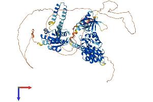 AGAP1 Protein (AA 1-857) (His tag)