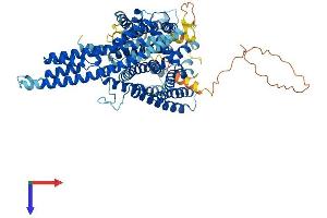 xpr1 Protein (AA 1-696) (His tag)
