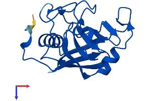 PPIL1 Protein (AA 1-166) (His tag)