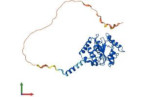 Protein Structure (PS) image for Uracil-DNA Glycosylase (UNG) (AA 1-313) protein (His tag) (ABIN7545022)