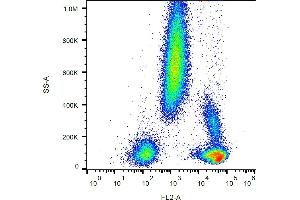 Flow cytometry analysis (surface staining) of human peripheral blood with anti-CD48 (MEM-102) PE. (CD48 Antikörper  (PE))