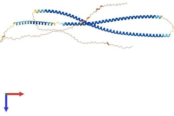 Keratin 86 Protein (KRT86) (AA 1-486) (His tag)
