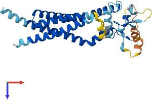 CD37 Protein (AA 1-281) (His tag)