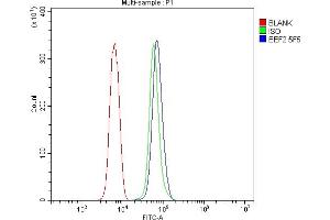 Flow Cytometry analysis of NRK cells using anti- EEF2 antibody (ABIN7603141). (EEF2 Antikörper  (N-Term))