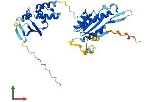 Protein Structure (PS) image for Potassium Channel Tetramerisation Domain Containing 10 (KCTD10) (AA 1-315) protein (His tag) (ABIN7560230)