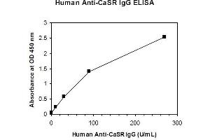 ELISA image for Anti-Calcium Sensing Receptor IgG Antibody (CaSR IgG) ELISA Kit (ABIN1305169) (Anti-CaSR IgG ELISA Kit)