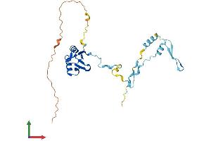 Protein Structure (PS) image for Regulator of Calcineurin 1 (RCAN1) (AA 1-252) protein (His tag) (ABIN7551218)