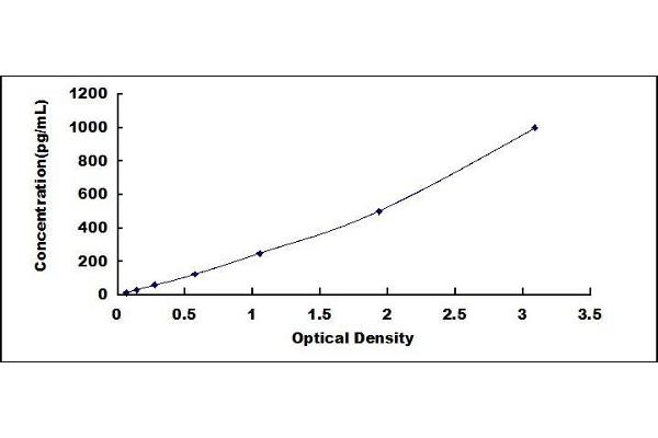 CMTM6 ELISA Kit