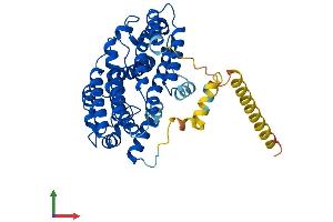 Protein Structure (PS) image for Farnesyl-Diphosphate Farnesyltransferase 1 (FDFT1) (AA 1-416) protein (His tag) (ABIN7563440)