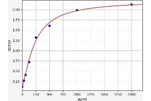 Serum Amyloid A2 (SAA2) ELISA Kit