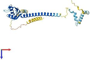 Activator of Basal Transcription 1 Protein (Abt1) (AA 1-269) (His tag)
