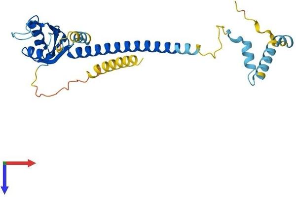 Activator of Basal Transcription 1 Protein (Abt1) (AA 1-269) (His tag)