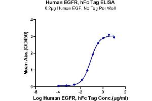 ELISA image for Epidermal Growth Factor Receptor (EGFR) (AA 25-645) protein (Fc Tag) (ABIN7274524)