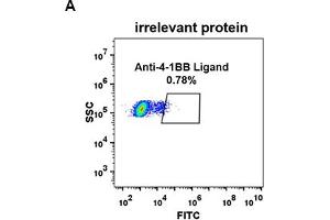 Flow Cytometry (FACS) image for anti-Tumor Necrosis Factor (Ligand) Superfamily, Member 9 (TNFSF9) (AA 52-254) antibody (ABIN6964064)