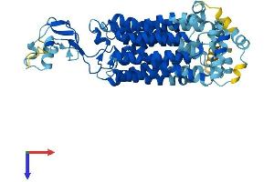 SLC22A11 Protein (AA 1-550) (His tag)