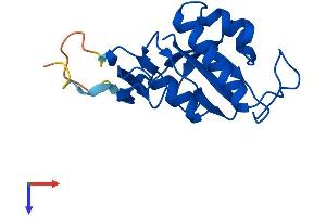 PIN1 Protein (AA 1-163) (His tag)