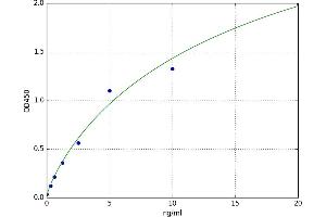Topoisomerase (DNA) II alpha 170kDa (TOP2A) ELISA Kit