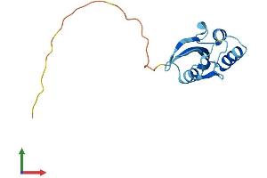 Protein Structure (PS) image for Peptidyl Prolyl Cis/Trans Isomerase NIMA Interacting 4 Protein (PIN4) (AA 1-131) protein (His tag) (ABIN7550797)