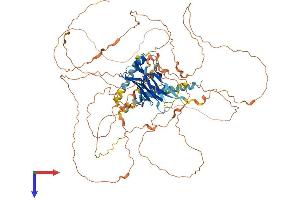 PPP1R3F Protein (AA 1-799) (His tag)