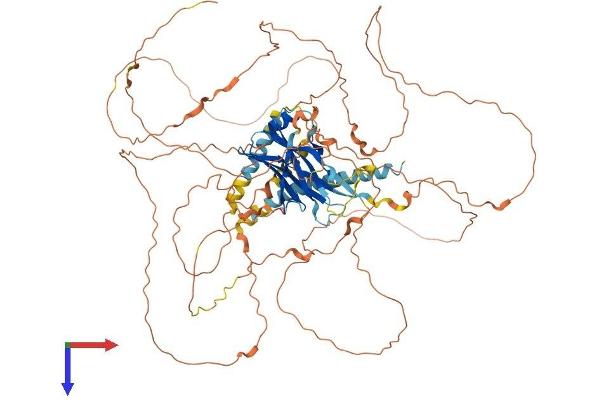 PPP1R3F Protein (AA 1-799) (His tag)