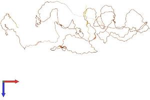 CHTF8 Protein (AA 1-533) (His tag)