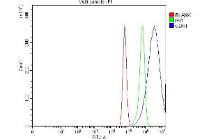 Flow Cytometry analysis of U87 cells using anti-CBR1 antibody (ABIN7600015). (CBR1 Antikörper  (AA 14-262))