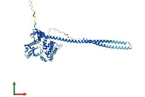 Protein Structure (PS) image for Neurofibromin 2 (NF2) (AA 1-595) protein (His tag) (ABIN7554520)
